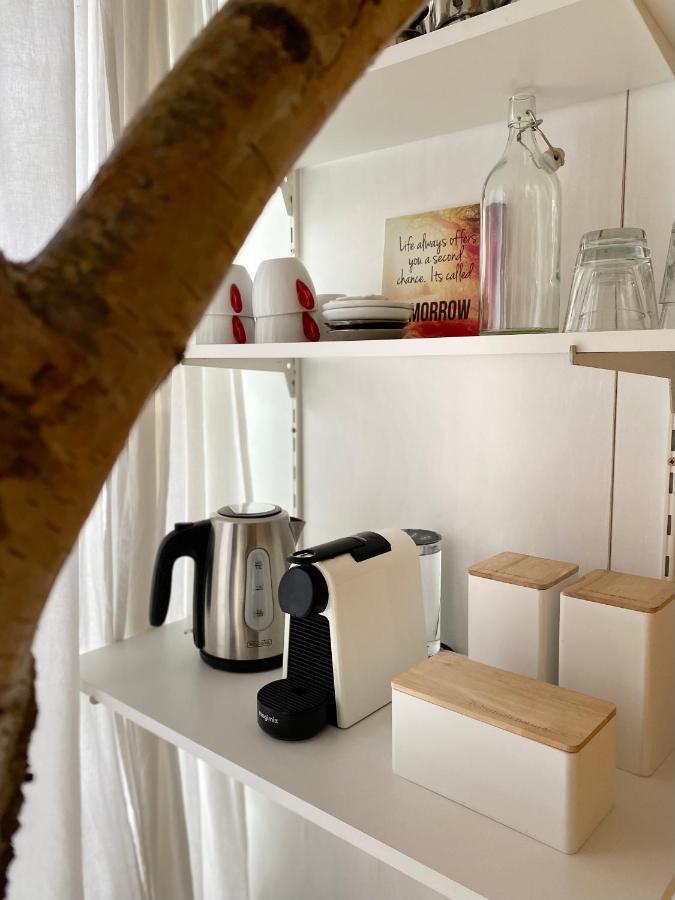 فيلا Casa De Palmas - Tiny House ألكمار المظهر الخارجي الصورة