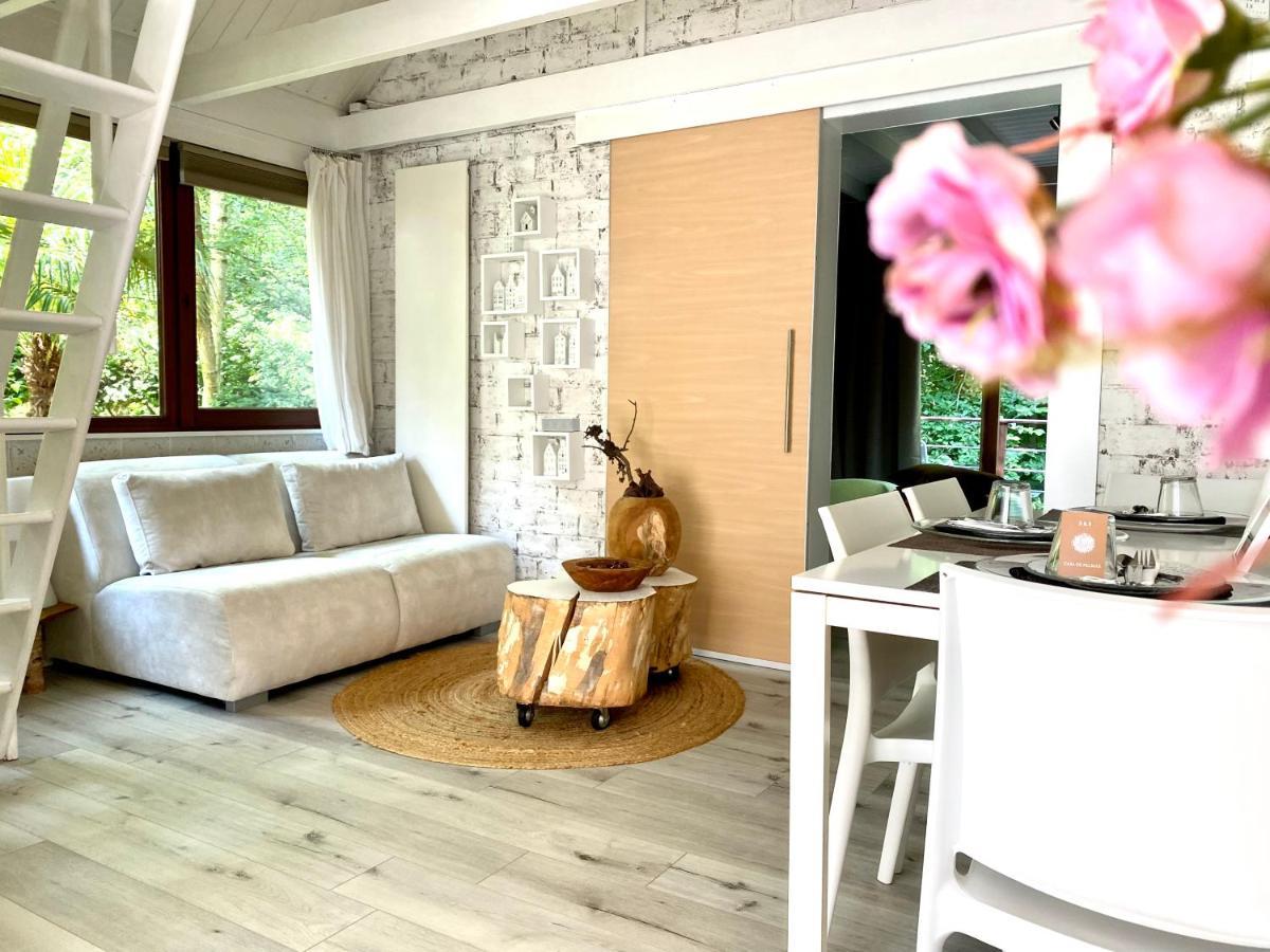 فيلا Casa De Palmas - Tiny House ألكمار المظهر الخارجي الصورة
